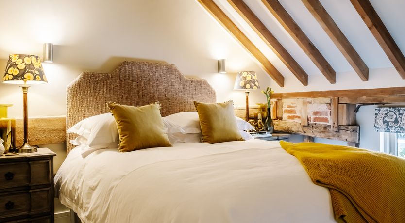 Photo of Copper Top Warren