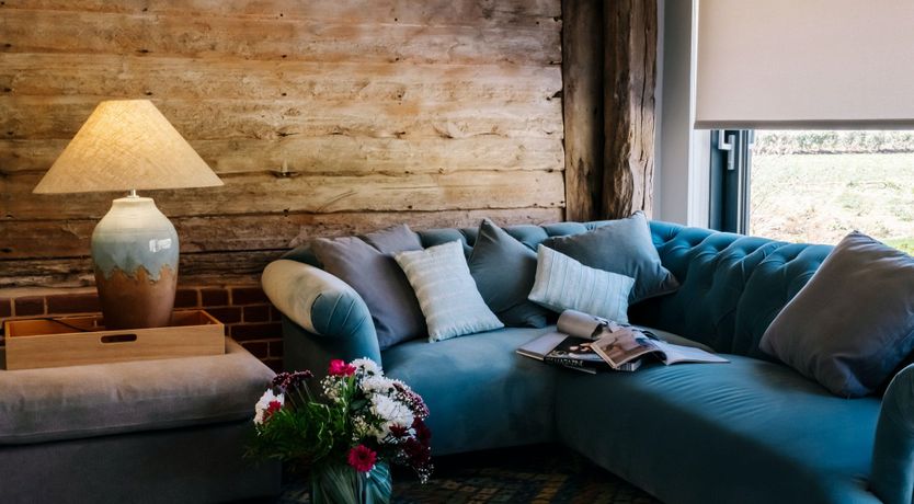 Photo of Copper Top Warren