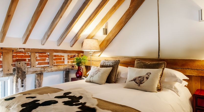 Photo of Copper Top Warren