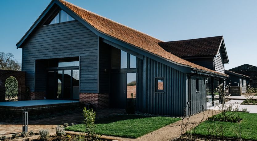 Photo of Copper Top Warren