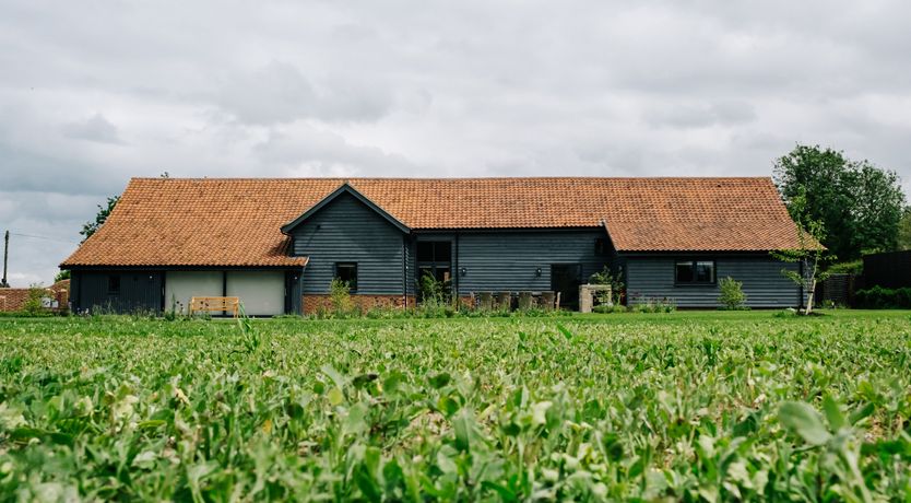 Photo of Copper Top Warren