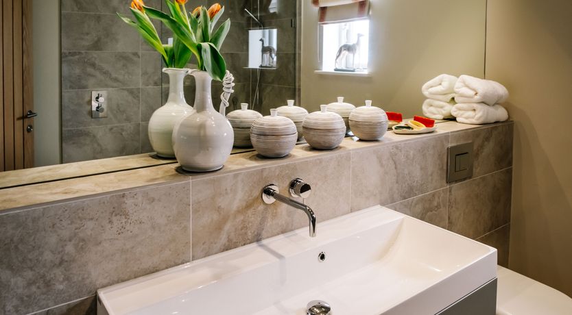 Photo of Copper Top Warren