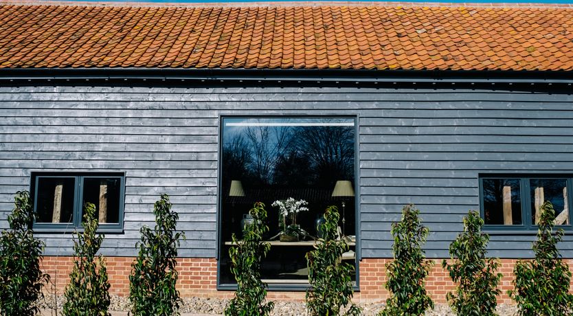 Photo of Copper Top Warren