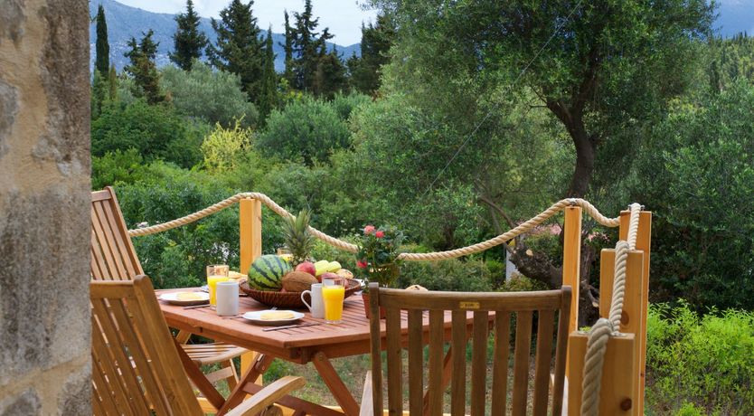 Photo of Stones in the Forest