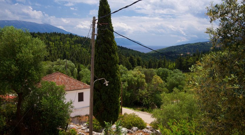 Photo of Stones in the Forest