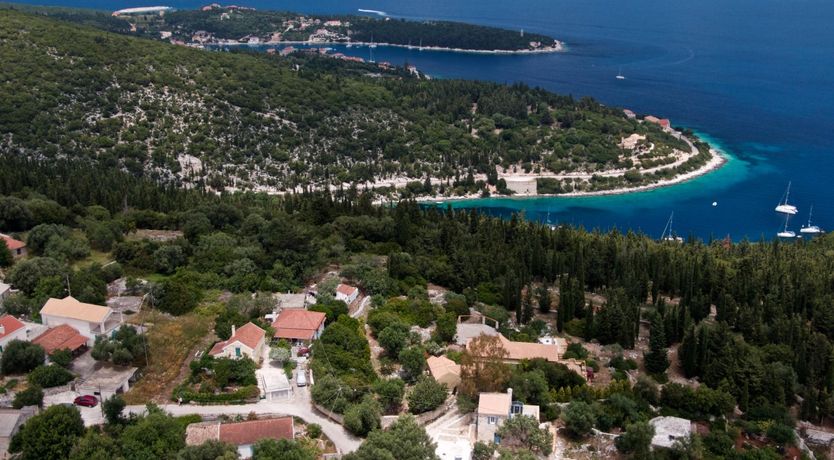 Photo of Stones in the Forest