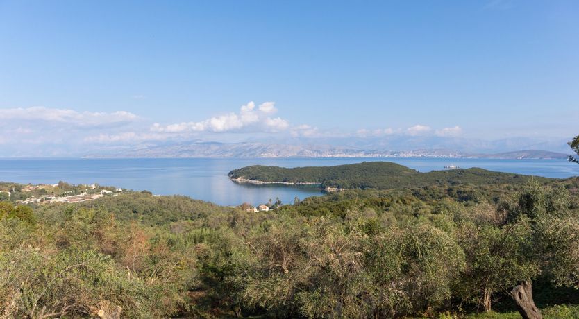 Photo of Those Summer Nights