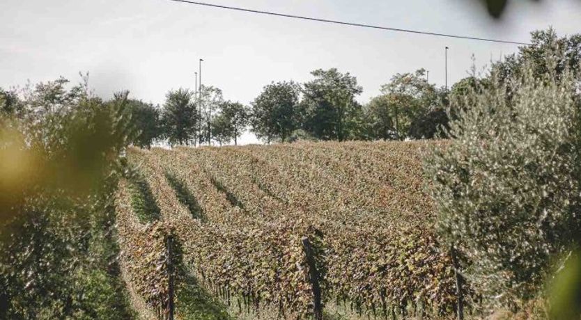 Photo of Fairytale Weekend