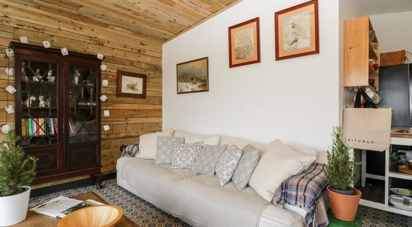 Photo of Down the Rabbit Hole