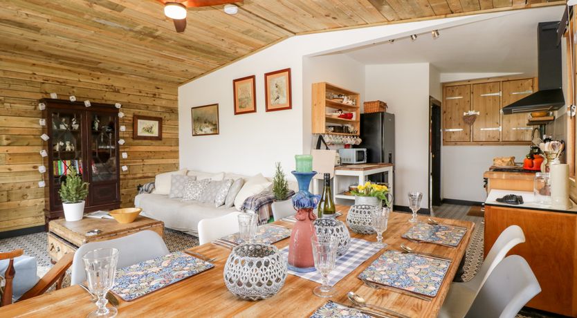 Photo of Down the Rabbit Hole