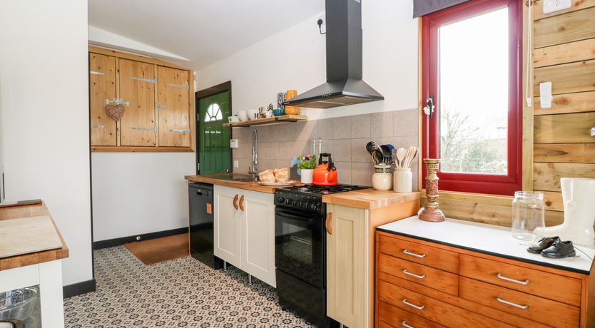 Photo of Down the Rabbit Hole