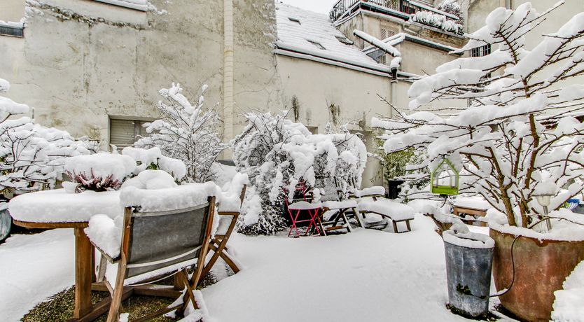 Photo of Strawberry Blonde