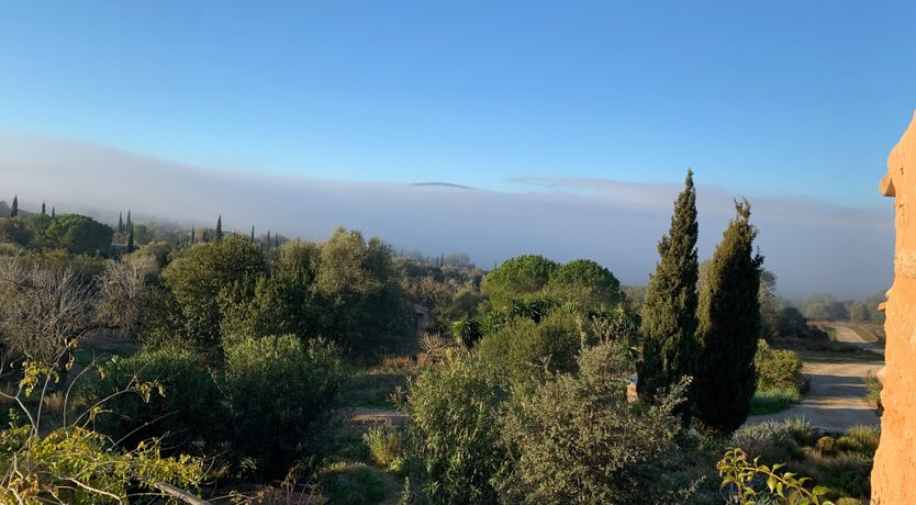 Photo of The Old Mallorcan Orchard
