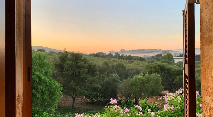 Photo of The Old Mallorcan Orchard