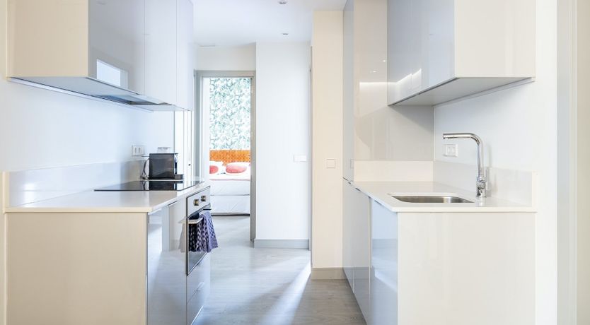 Photo of The Lepidus