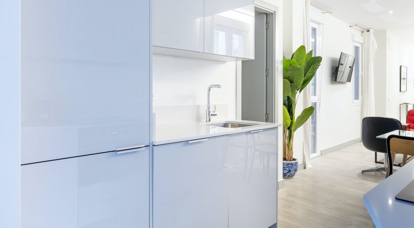 Photo of The Lepidus