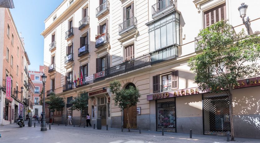 Photo of The Ginkgo Leaf