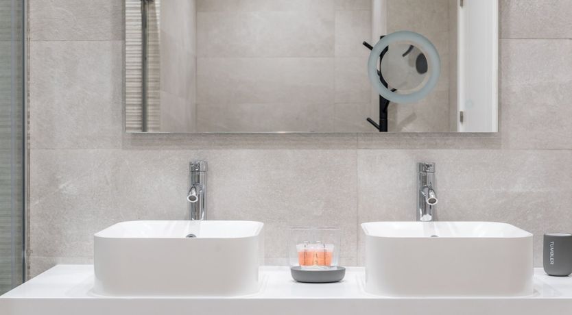 Photo of The Ginkgo Leaf