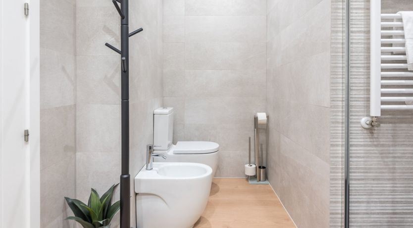 Photo of The Ginkgo Leaf