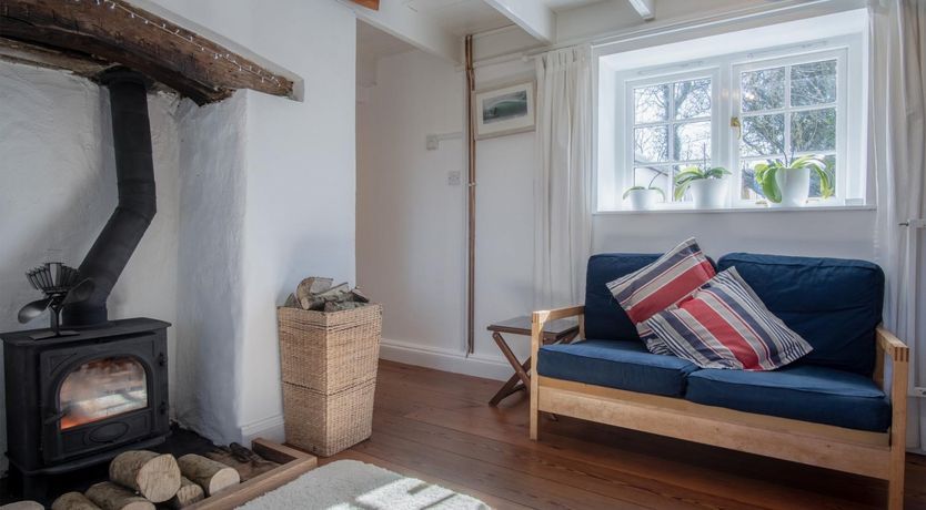 Photo of Wild Daffodil