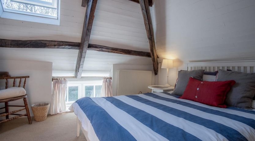 Photo of Wild Daffodil