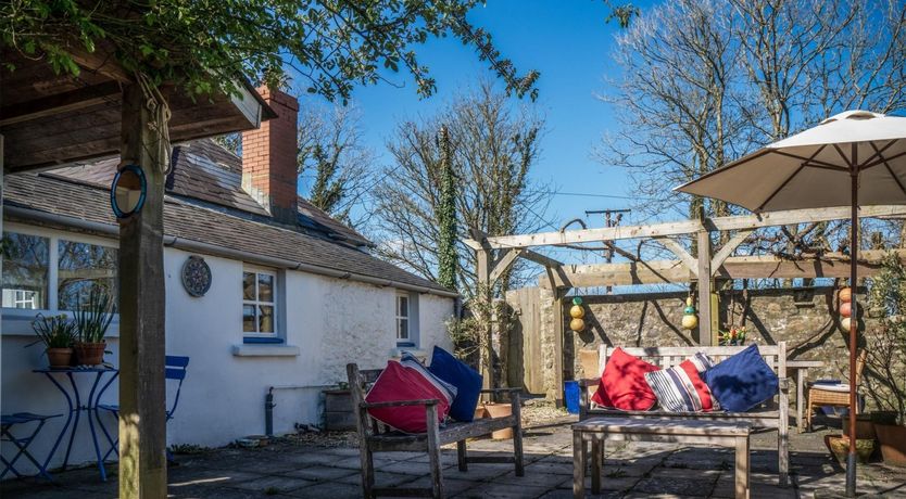 Photo of Wild Daffodil