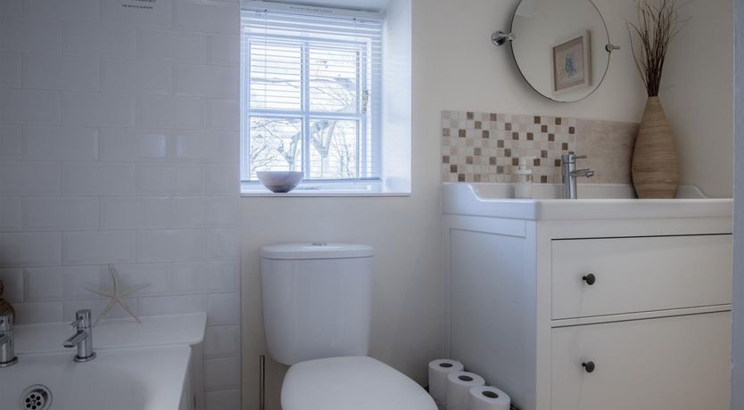 Photo of Wild Daffodil