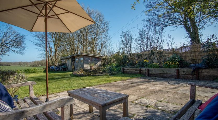 Photo of Wild Daffodil