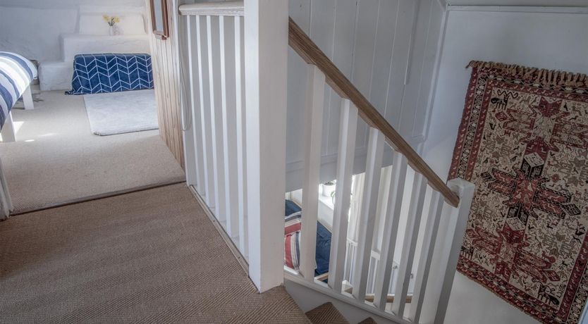 Photo of Wild Daffodil