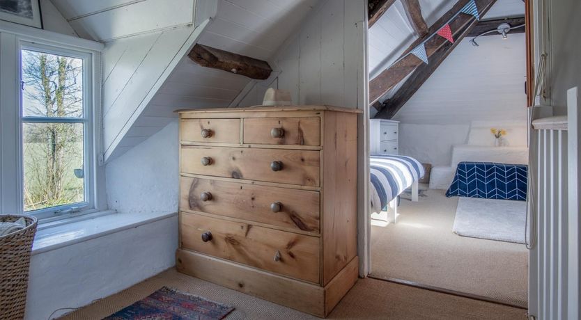 Photo of Wild Daffodil