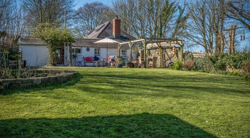 Photo of Wild Daffodil