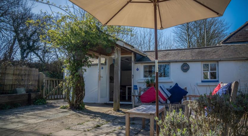 Photo of Wild Daffodil