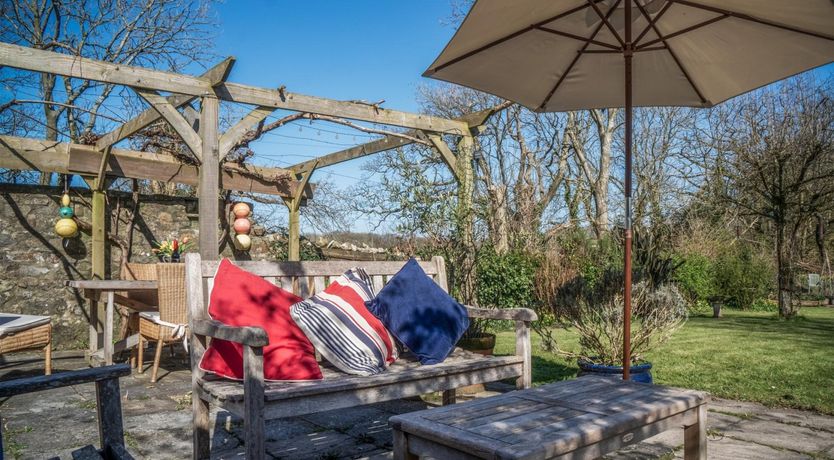 Photo of Wild Daffodil