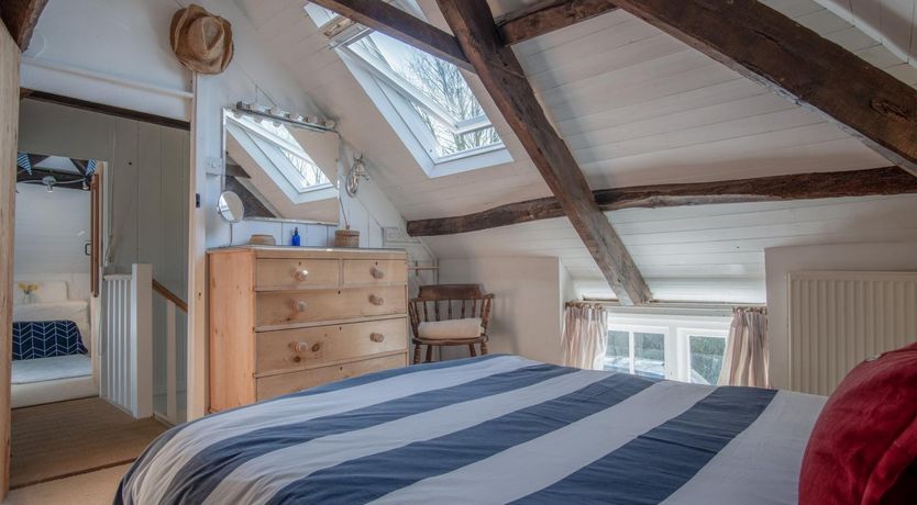 Photo of Wild Daffodil