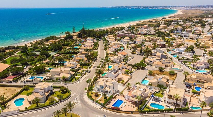 Photo of Blueberry Sorbet