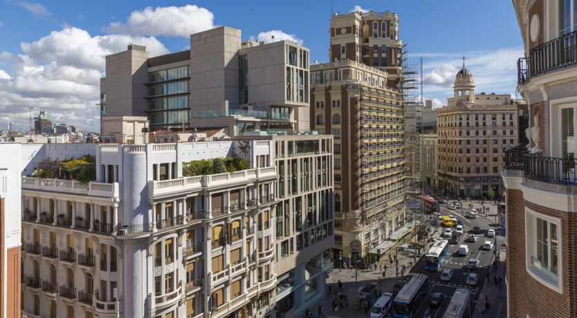 Photo of Grey Magnolia