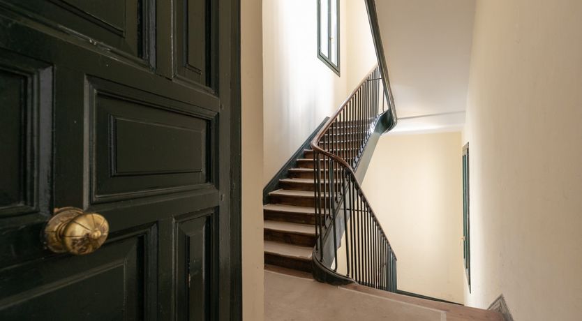 Photo of The Museophile