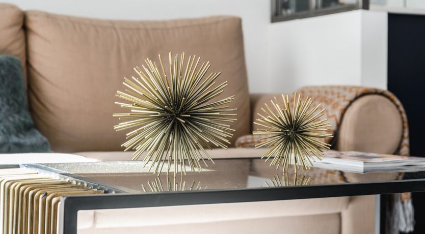 Photo of Sputnik Dandelion