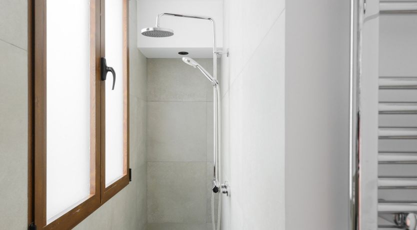 Photo of Sputnik Dandelion