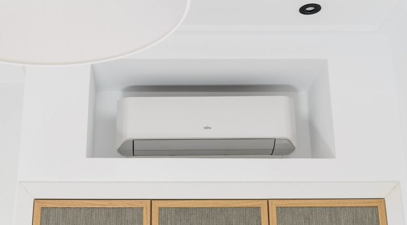 Photo of Sputnik Dandelion