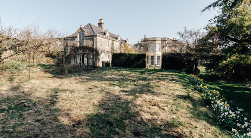 Photo of Wildflowers of Whatley