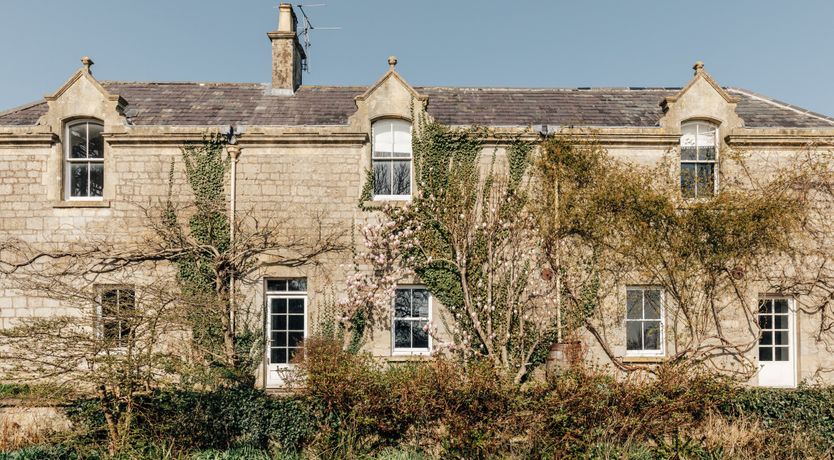 Photo of Wildflowers of Whatley