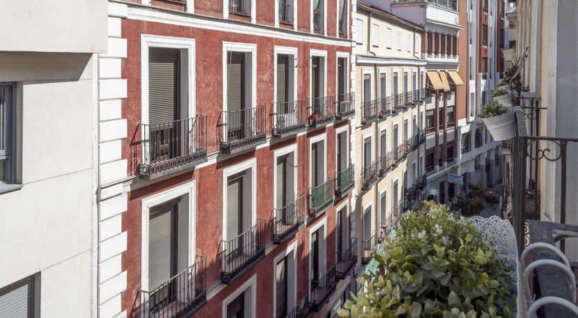 Photo of True Turquoise