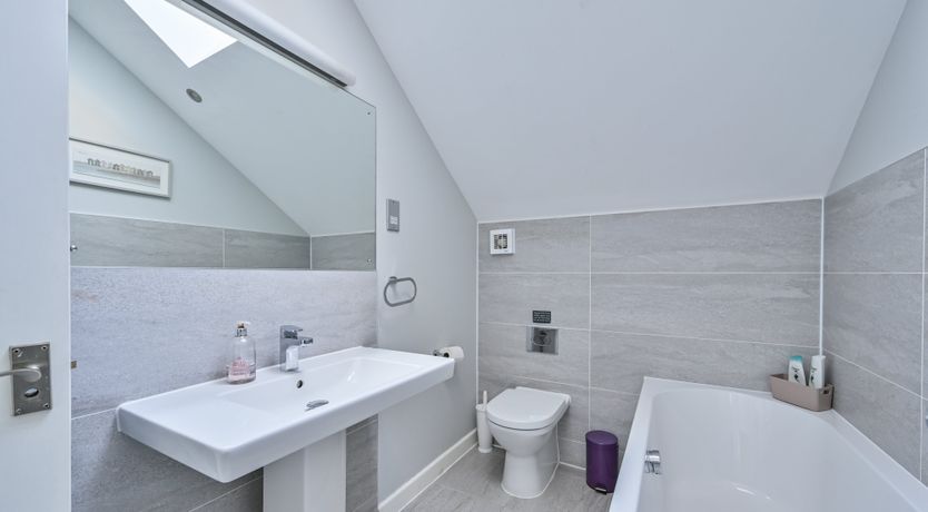 Photo of The Sandpiper