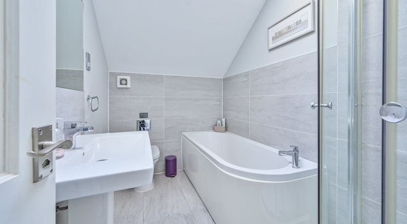 Photo of The Sandpiper