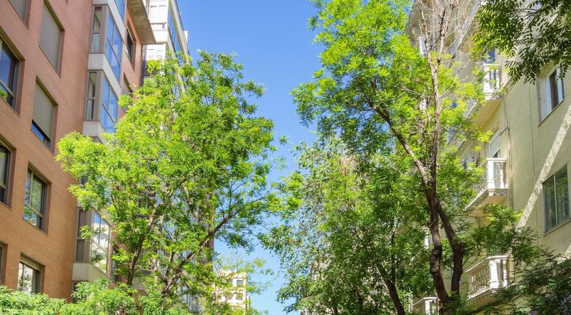 Photo of Bright Idea