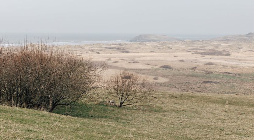 Photo of Sun After The Storm