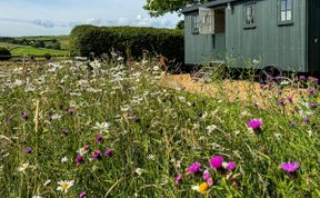 Photo of in Peak District  (87592)