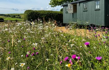 in Peak District  (87592) Holiday Cottage