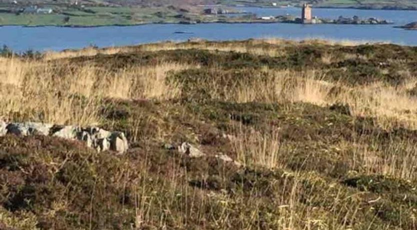 Photo of Ballydehob cottage